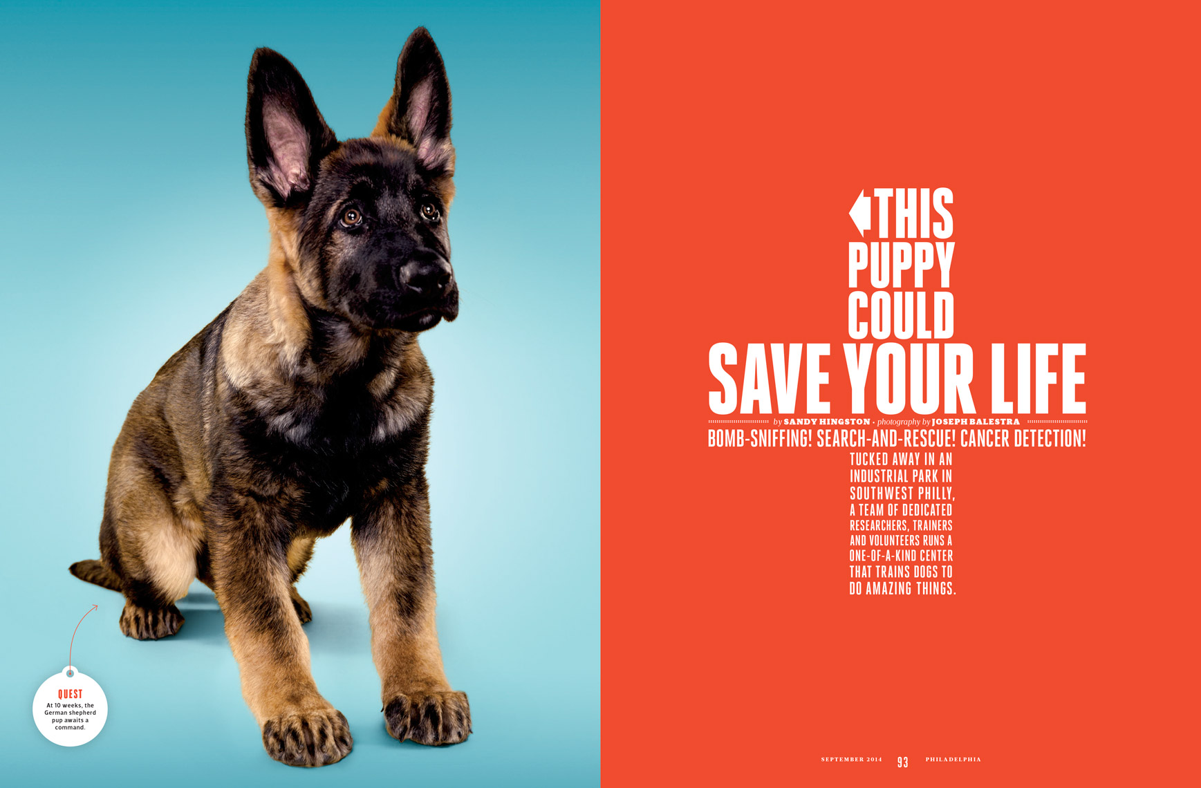 Philadelphia-Magazine---THIS-PUPPY-COULD-SAVE-YOUR-LIFE-Feature---Spread-1---September-2014---photographer-Neal-Santos