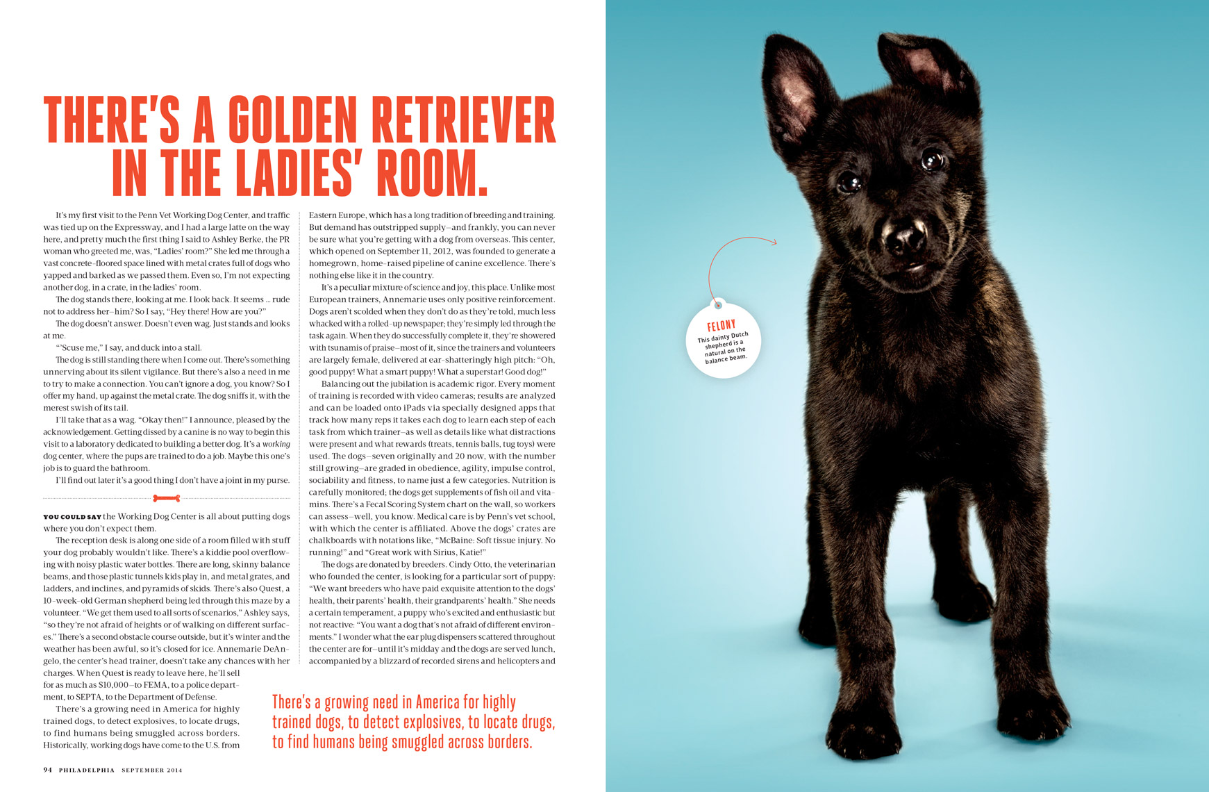 Philadelphia-Magazine---THIS-PUPPY-COULD-SAVE-YOUR-LIFE-Feature---Spread-2---September-2014---photographer-Joseph-Balestra